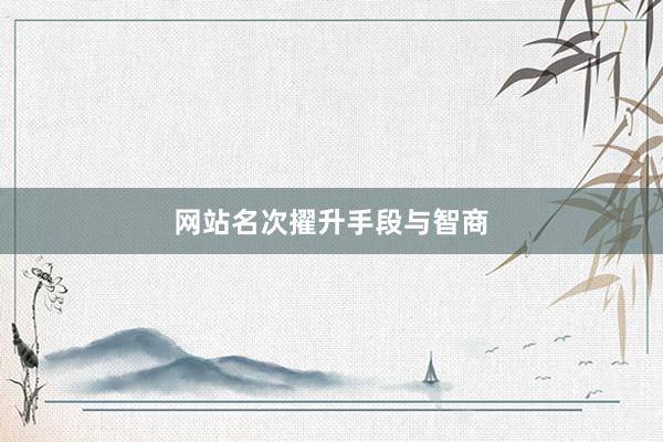 网站名次擢升手段与智商